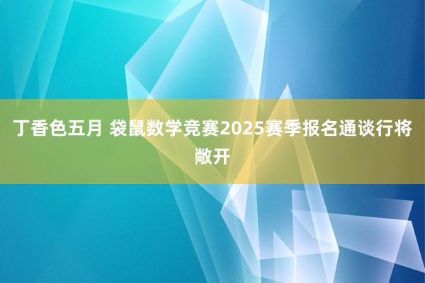 丁香色五月 袋鼠数学竞赛2025赛季报名通谈行将敞开