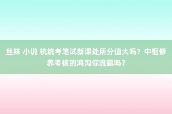 丝袜 小说 杭统考笔试新课处所分值大吗？中枢修养考核的鸿沟你流露吗？