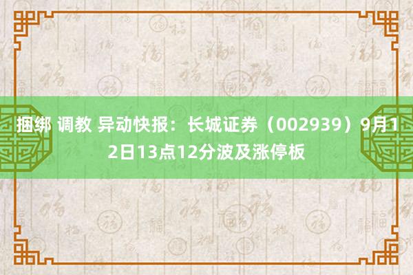 捆绑 调教 异动快报:长城证券(002939)9月12日13点12分波及涨停板