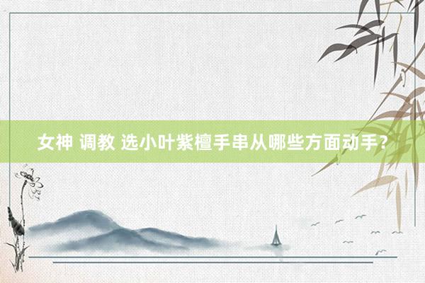 女神 调教 选小叶紫檀手串从哪些方面动手？