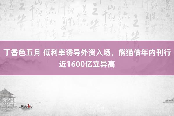 丁香色五月 低利率诱导外资入场,熊猫债年内刊行近1600亿立异高