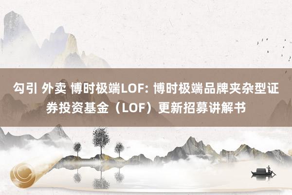 勾引 外卖 博时极端LOF: 博时极端品牌夹杂型证券投资基金(LOF)更新招募讲解书