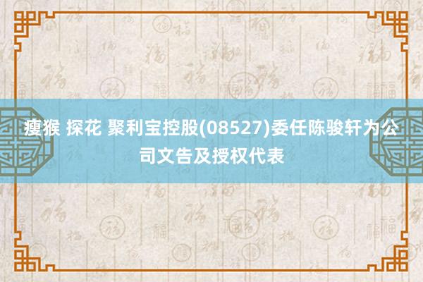 瘦猴 探花 聚利宝控股(08527)委任陈骏轩为公司文告及授权代表