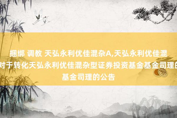 捆绑 调教 天弘永利优佳混杂A,天弘永利优佳混杂C: 对于转化天弘永利优佳混杂型证券投资基金基金司理的公告