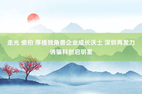 走光 偷拍 厚植独角兽企业成长沃土 深圳再发力诱骗科创启明星