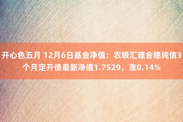 开心色五月 12月6日基金净值：农银汇理金穗纯债3个月定开债最新净值1.7529，涨0.14%