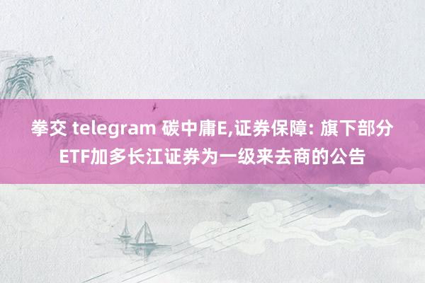 拳交 telegram 碳中庸E,证券保障: 旗下部分ETF加多长江证券为一级来去商的公告