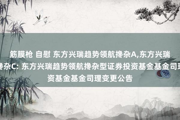 筋膜枪 自慰 东方兴瑞趋势领航搀杂A,东方兴瑞趋势领航搀杂C: 东方兴瑞趋势领航搀杂型证券投资基金基金司理变更公告