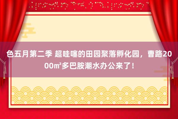 色五月第二季 超哇噻的田园聚落孵化园，曹路2000㎡多巴胺潮水办公来了！