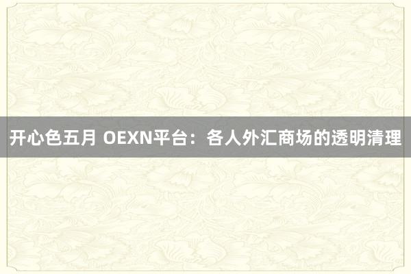 开心色五月 OEXN平台：各人外汇商场的透明清理