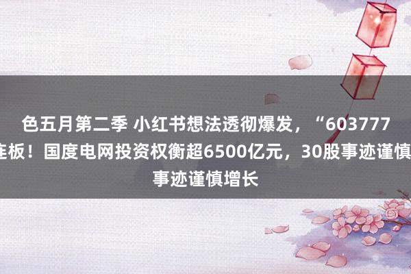 色五月第二季 小红书想法透彻爆发，“603777”5连板！国度电网投资权衡超6500亿元，30股事迹谨慎增长