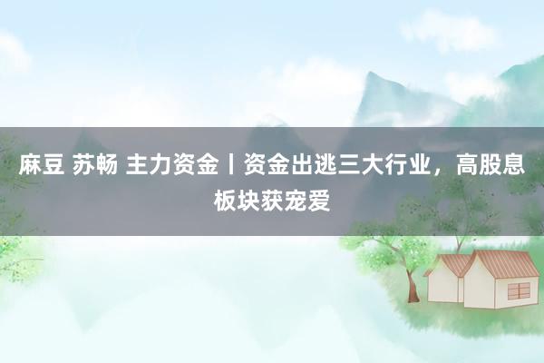 麻豆 苏畅 主力资金丨资金出逃三大行业，高股息板块获宠爱