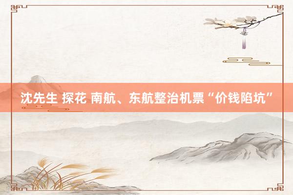 沈先生 探花 南航、东航整治机票“价钱陷坑”