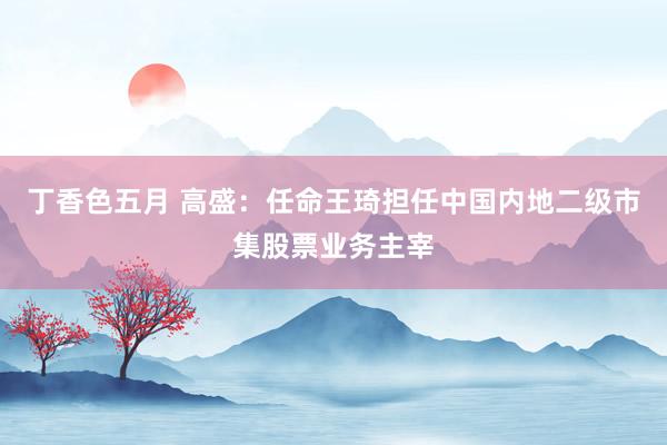 丁香色五月 高盛：任命王琦担任中国内地二级市集股票业务主宰