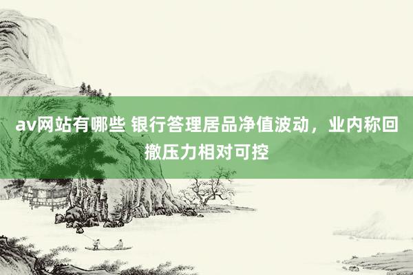 av网站有哪些 银行答理居品净值波动，业内称回撤压力相对可控