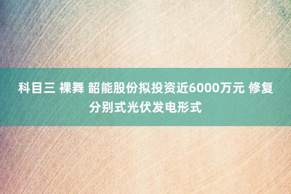 科目三 裸舞 韶能股份拟投资近6000万元 修复分别式光伏发电形式