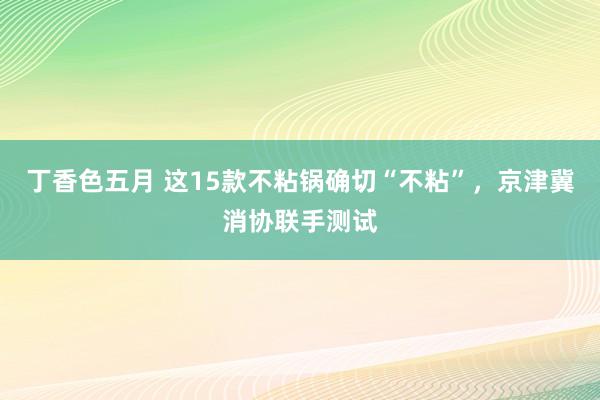 丁香色五月 这15款不粘锅确切“不粘”，京津冀消协联手测试