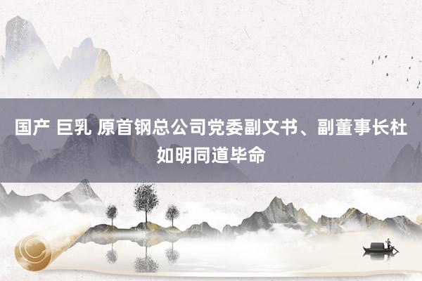 国产 巨乳 原首钢总公司党委副文书、副董事长杜如明同道毕命