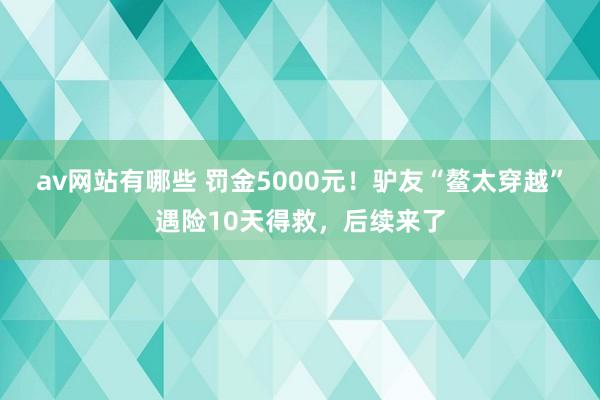 av网站有哪些 罚金5000元！驴友“鳌太穿越”遇险10天得救，后续来了