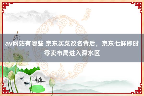 av网站有哪些 京东买菜改名背后，京东七鲜即时零卖布局进入深水区