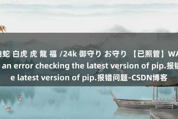 ✨白蛇 白虎 虎 龍 福 /24k 御守り お守り 【已照管】WARNING: There was an error checking the latest version of pip.报错问题-CSDN博客