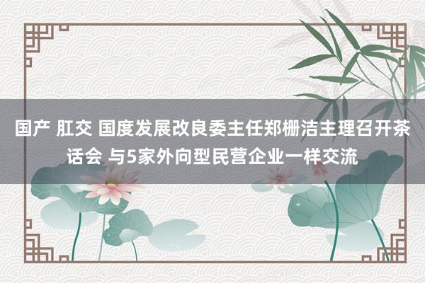 国产 肛交 国度发展改良委主任郑栅洁主理召开茶话会 与5家外向型民营企业一样交流