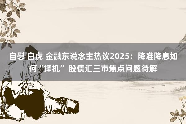 自慰 白虎 金融东说念主热议2025：降准降息如何“择机” 股债汇三市焦点问题待解
