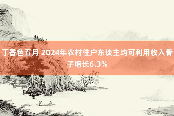 丁香色五月 2024年农村住户东谈主均可利用收入骨子增长6.3%
