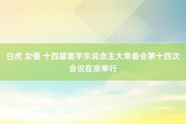 白虎 女優 十四届寰宇东说念主大常委会第十四次会议在京举行