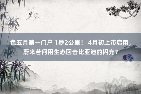 色五月第一门户 1秒2公里！ 4月初上市启用，蔚来若何用生态回击比亚迪的闪充？