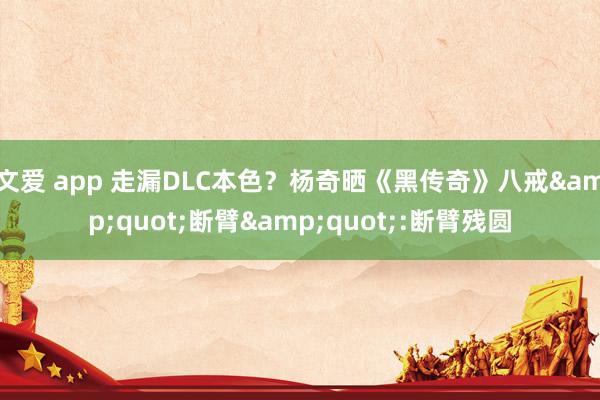 文爱 app 走漏DLC本色？杨奇晒《黑传奇》八戒&quot;断臂&quot;:断臂残圆