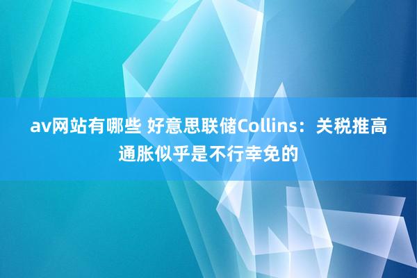 av网站有哪些 好意思联储Collins：关税推高通胀似乎是不行幸免的