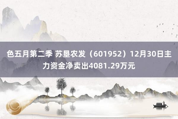 色五月第二季 苏垦农发（601952）12月30日主力资金净卖出4081.29万元