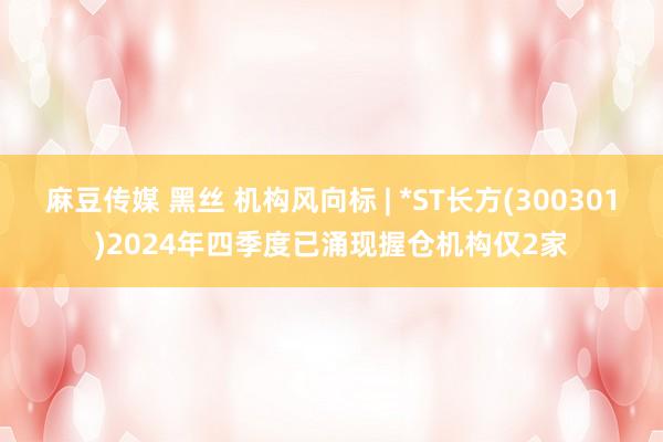 麻豆传媒 黑丝 机构风向标 | *ST长方(300301)2024年四季度已涌现握仓机构仅2家
