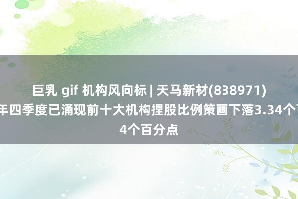 巨乳 gif 机构风向标 | 天马新材(838971)2024年四季度已涌现前十大机构捏股比例策画下落3.34个百分点