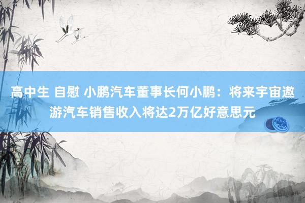 高中生 自慰 小鹏汽车董事长何小鹏：将来宇宙遨游汽车销售收入将达2万亿好意思元