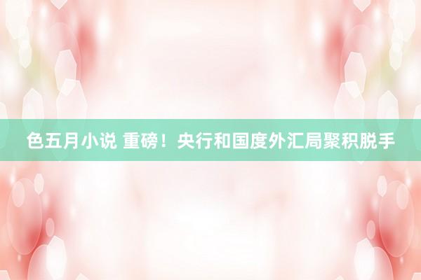 色五月小说 重磅！央行和国度外汇局聚积脱手