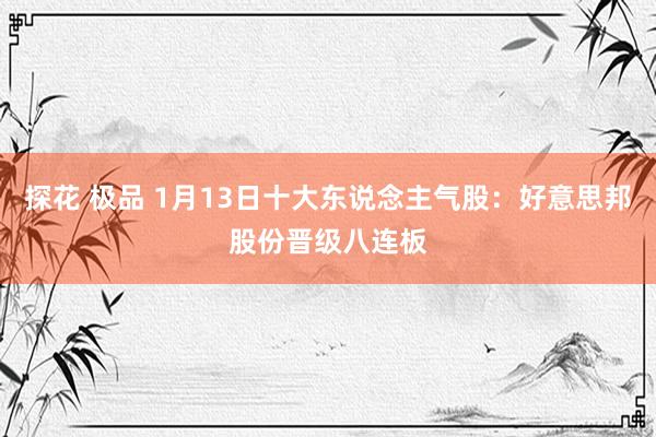 探花 极品 1月13日十大东说念主气股：好意思邦股份晋级八连板