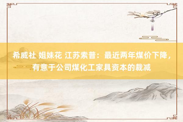 希威社 姐妹花 江苏索普：最近两年煤价下降，有意于公司煤化工家具资本的裁减