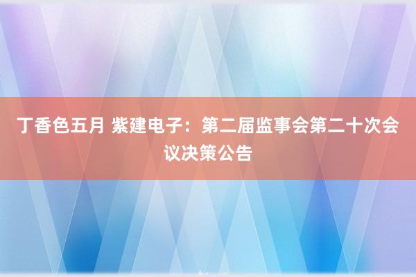 丁香色五月 紫建电子：第二届监事会第二十次会议决策公告
