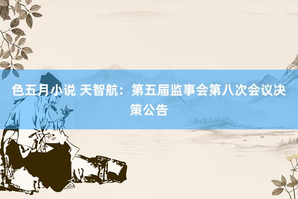 色五月小说 天智航：第五届监事会第八次会议决策公告