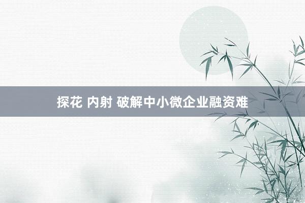 探花 内射 破解中小微企业融资难