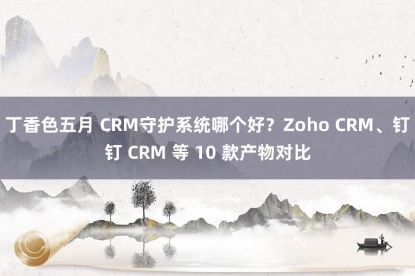 丁香色五月 CRM守护系统哪个好？Zoho CRM、钉钉 CRM 等 10 款产物对比