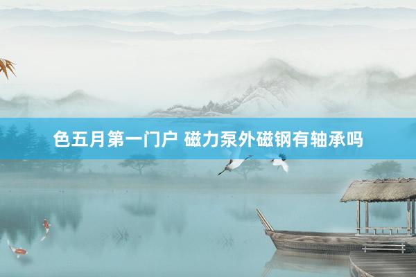 色五月第一门户 磁力泵外磁钢有轴承吗