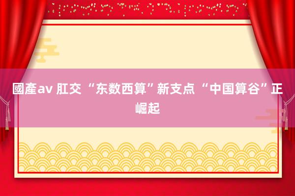 國產av 肛交 “东数西算”新支点 “中国算谷”正崛起