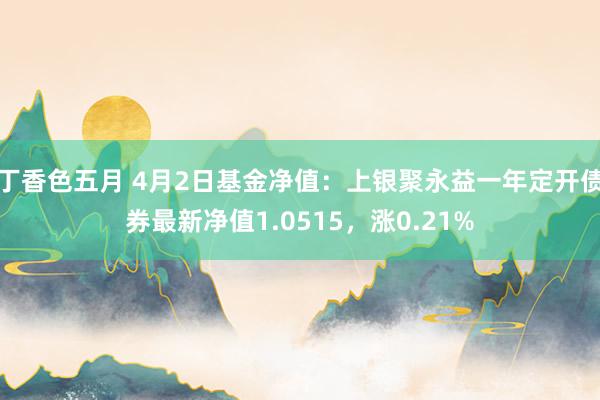 丁香色五月 4月2日基金净值：上银聚永益一年定开债券最新净值1.0515，涨0.21%