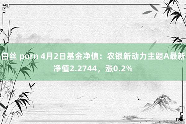 白丝 porn 4月2日基金净值：农银新动力主题A最新净值2.2744，涨0.2%