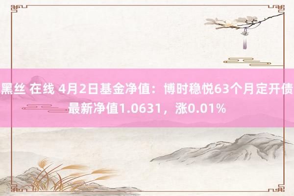 黑丝 在线 4月2日基金净值：博时稳悦63个月定开债最新净值1.0631，涨0.01%