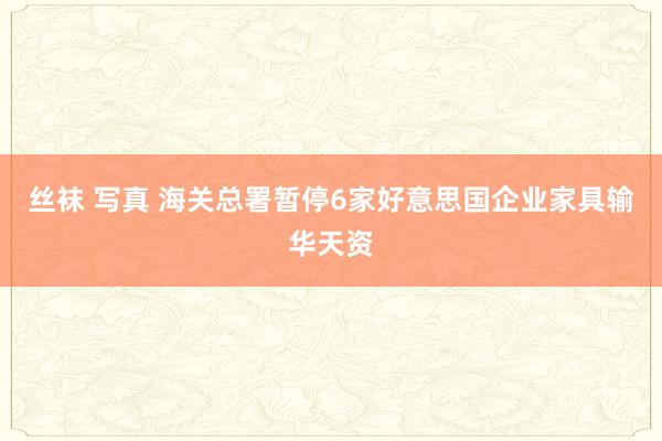 丝袜 写真 海关总署暂停6家好意思国企业家具输华天资