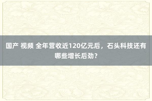 国产 视频 全年营收近120亿元后，石头科技还有哪些增长后劲？